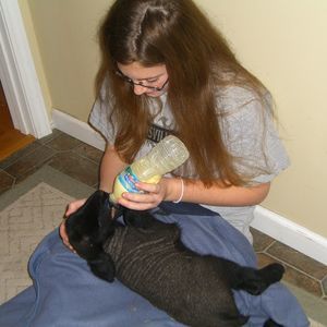 Meet your Posher, Evelyn